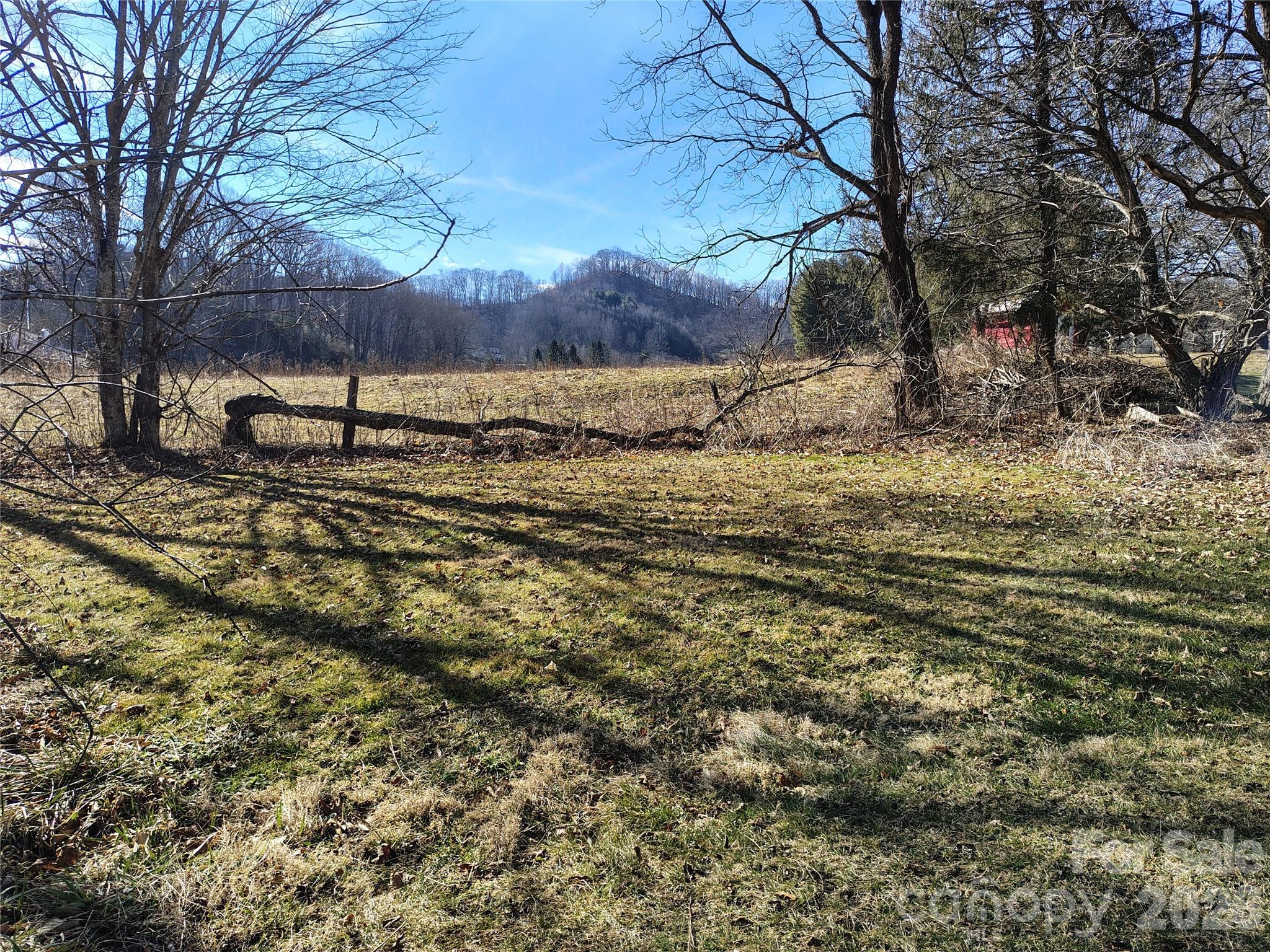 166 Old Helton School Road Lansing, NC 28643 - Photo 4 of 24 a view of a backyard of the house