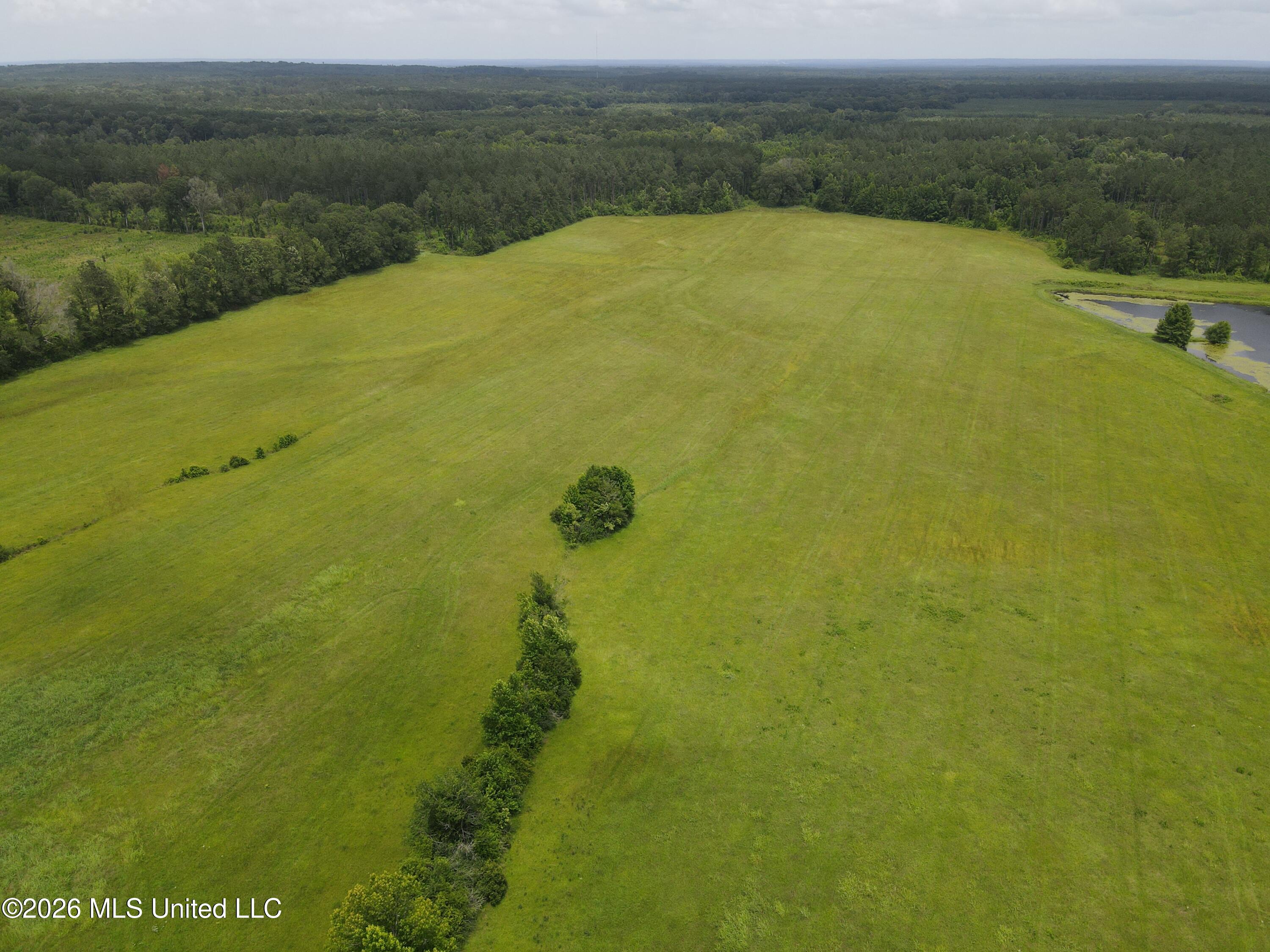 244 Foster Road Sontag, MS 39665 - Photo 48 of 105 35545