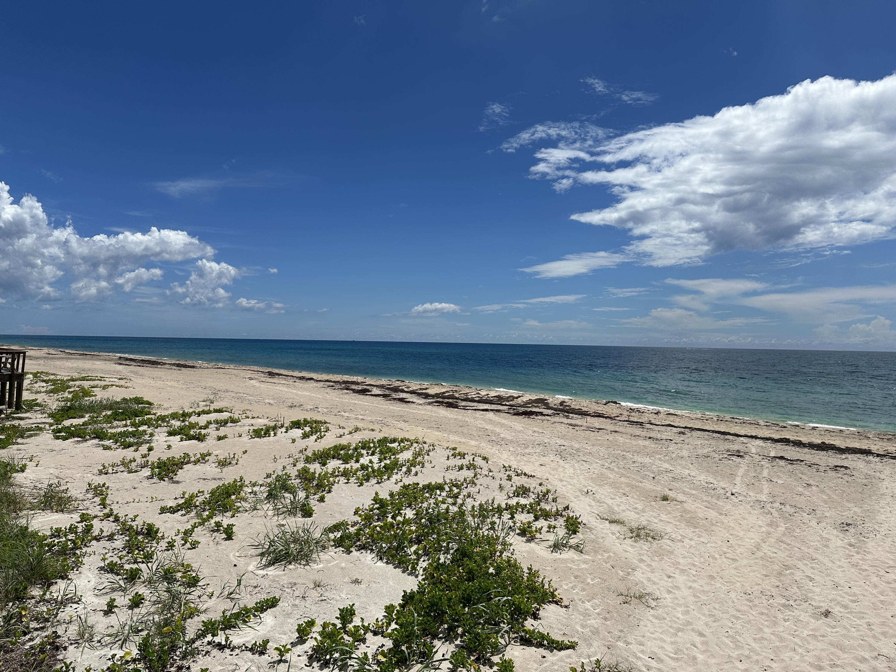 5 Adams Road Boynton Beach, FL 33435 - Photo 52 of 79 20240625_154821863_iOS