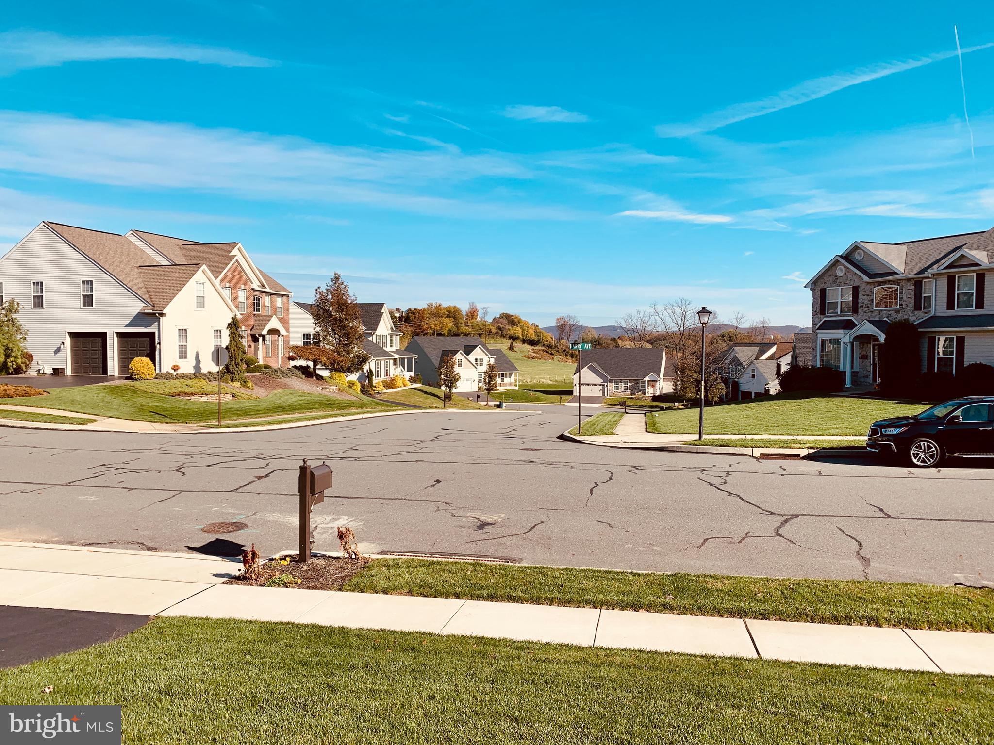 68 Harry Avenue Reading, PA 19607 - Photo 68 of 68 View out front