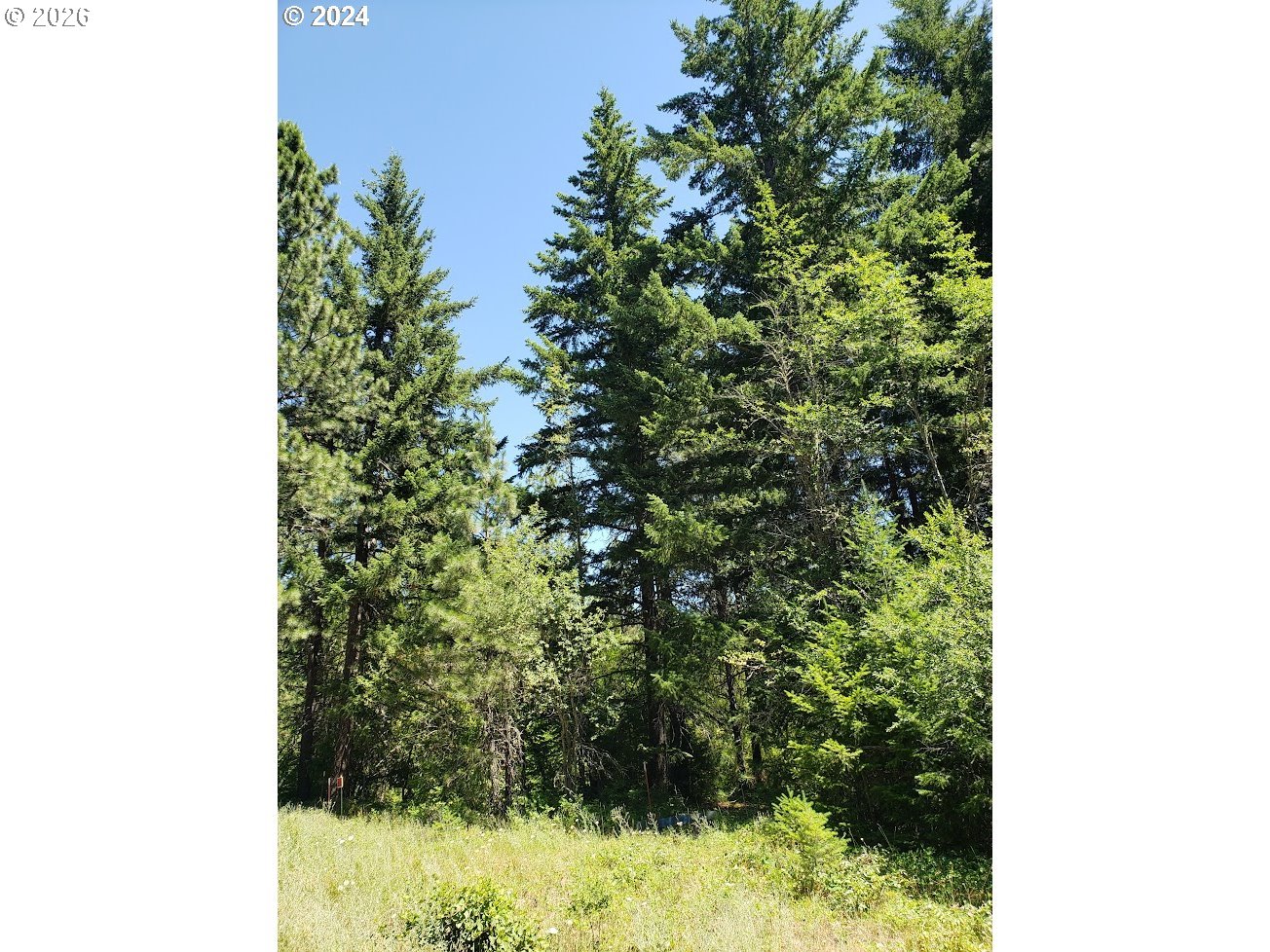 492 Sleepy Hollow Road Appleton, WA 98602 - Photo 16 of 19