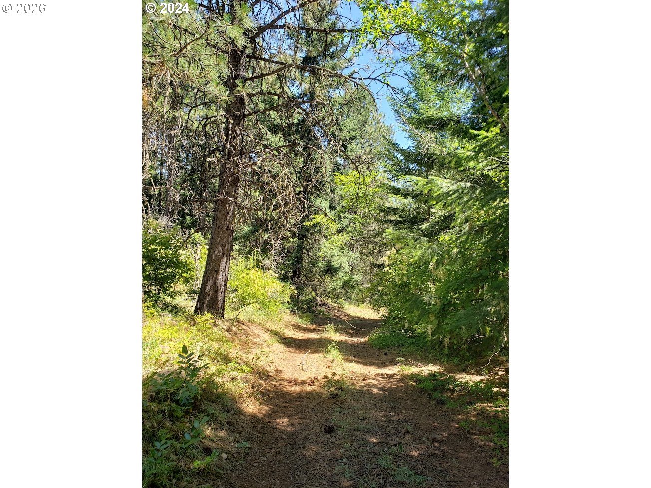 492 Sleepy Hollow Road Appleton, WA 98602 - Photo 17 of 19