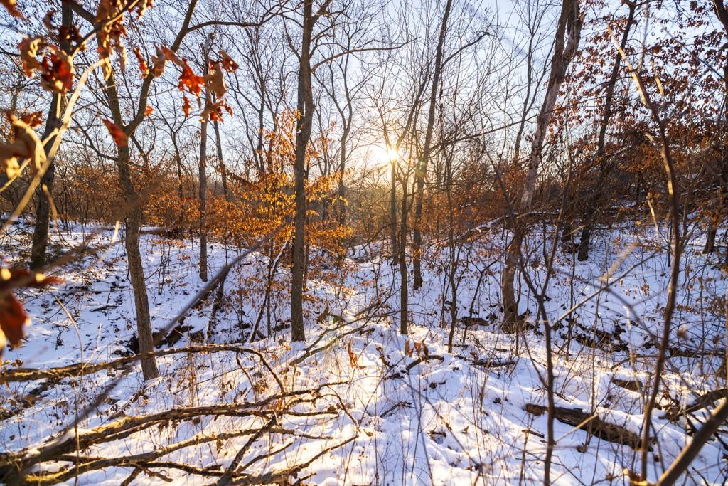 Perry Road Orrick, MO 64077 - Photo 26 of 54