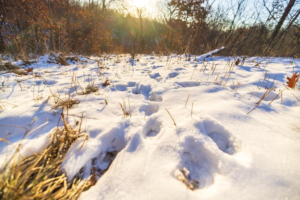 Perry Road Orrick, MO 64077 - Photo 29 of 54