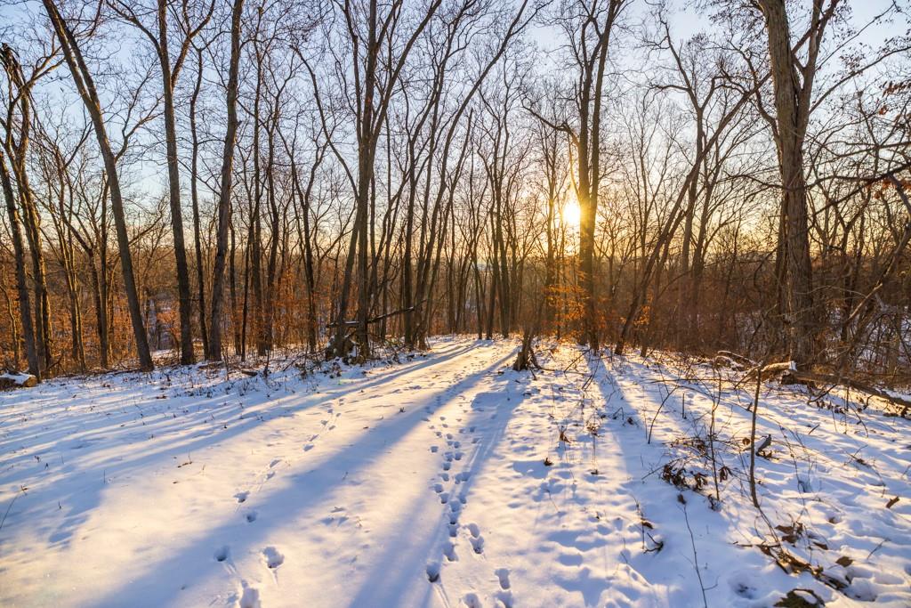 Perry Road Orrick, MO 64077 - Photo 35 of 54