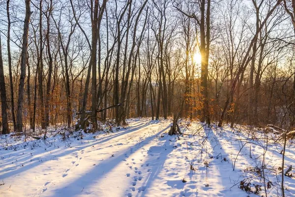 $320,000 | Perry Road, Orrick, MO 64077