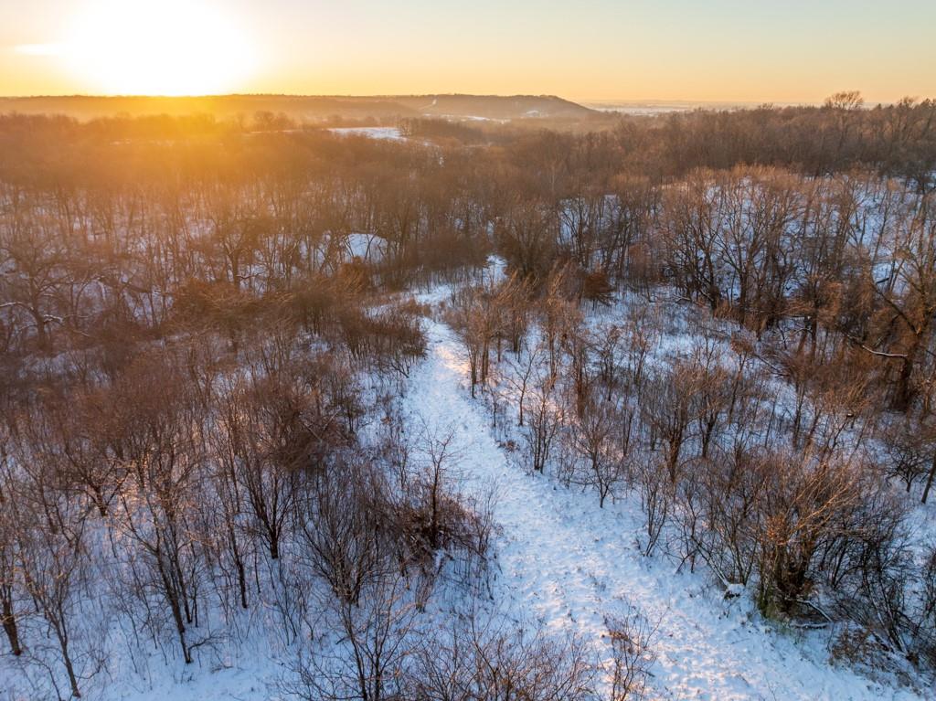 Perry Road Orrick, MO 64077 - Photo 4 of 54