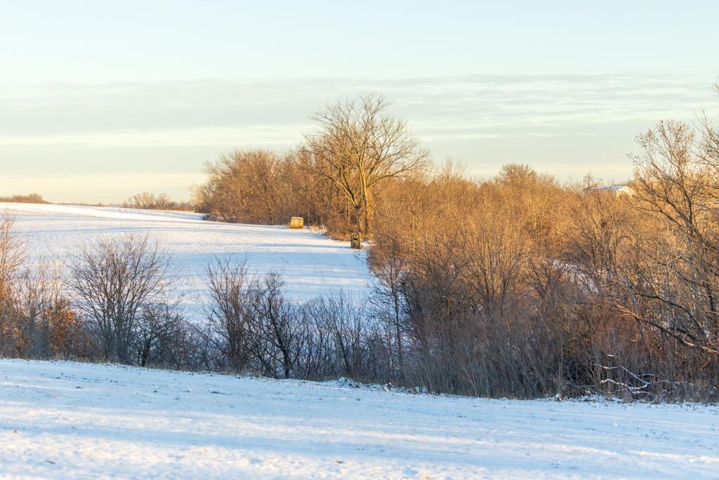 Perry Road Orrick, MO 64077 - Photo 45 of 54