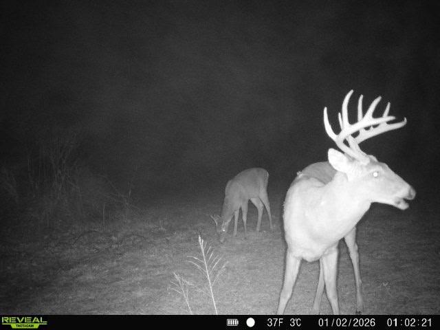 Perry Road Orrick, MO 64077 - Photo 50 of 54