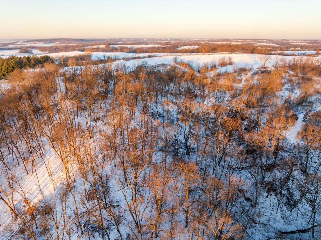 Perry Road Orrick, MO 64077 - Photo 10 of 54