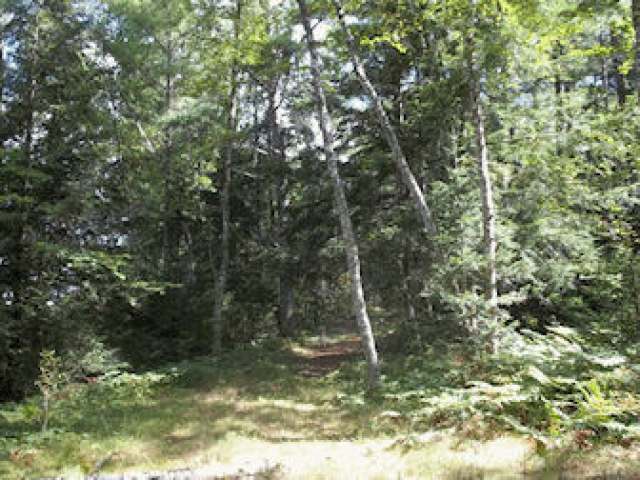 On On Crowley Road Park Falls, WI 54552 - Photo 6 of 8 Gallery Image 6