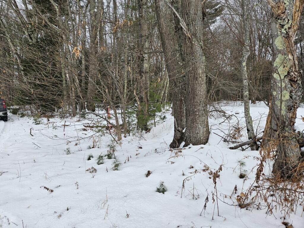 33 North Fryeburg Road Fryeburg, ME 04037 - Photo 26 of 36 24 East corner view