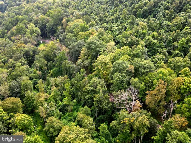 $8,000 | 15407 Douglas Avenue, Lonaconing, MD 21539