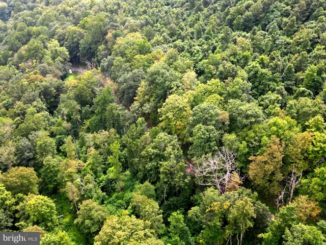 $8,000 | 15407 Douglas Avenue, Lonaconing, MD 21539