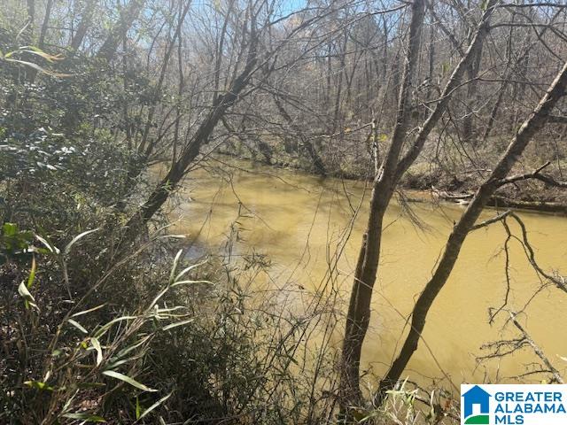 Pate Road Lineville, AL 36266 - Photo 3 of 5