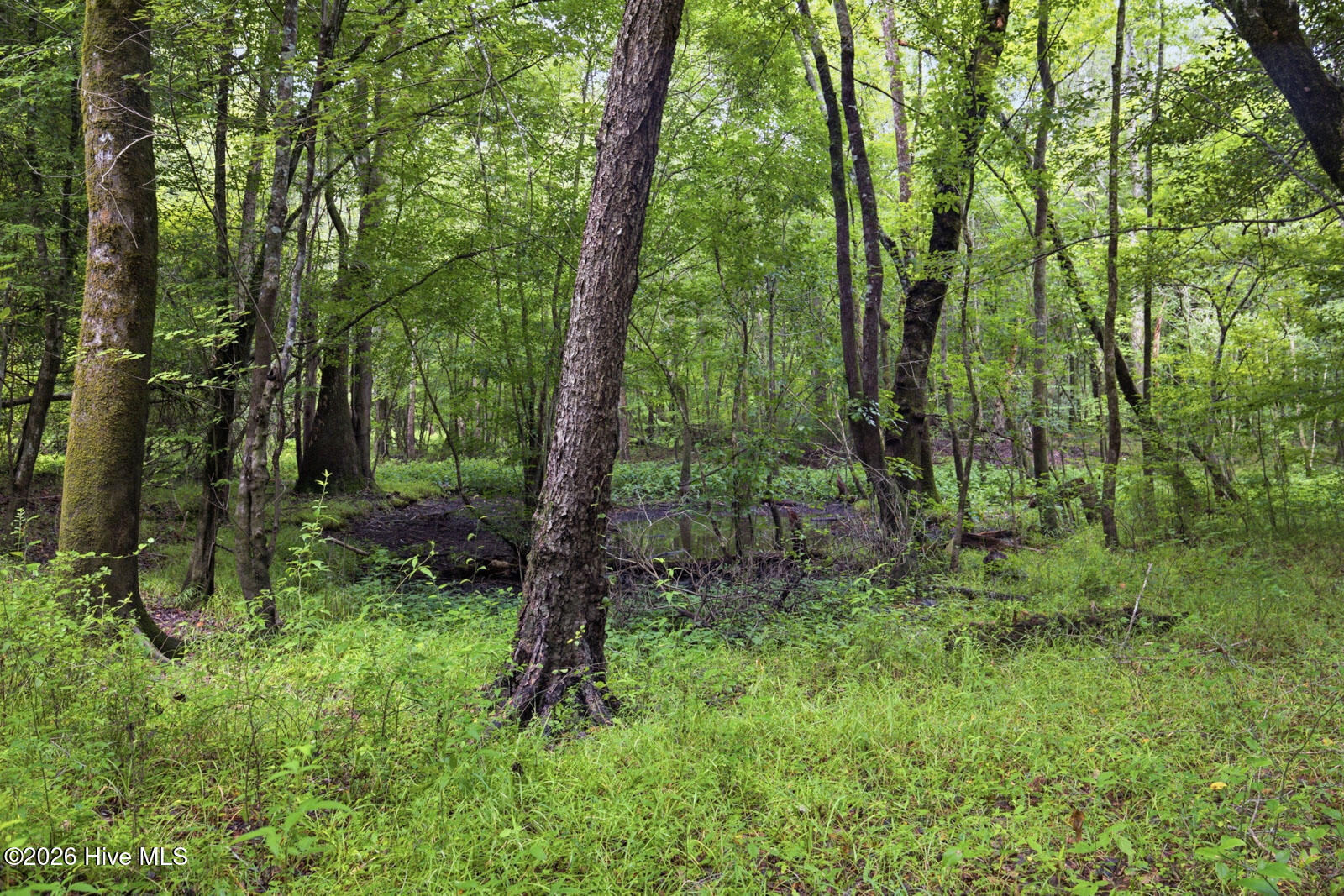 857 Mill River Road Jacksonville, NC 28540 - Photo 13 of 30