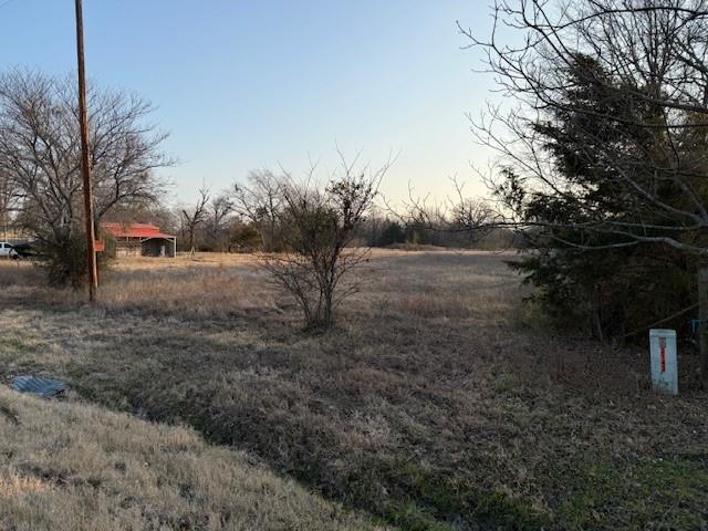 a view of dirt yard with large trees