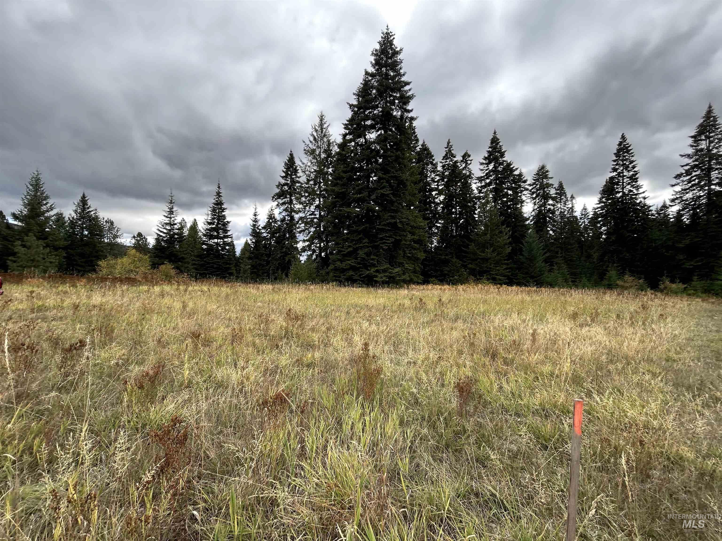 Tbd Lot 3 Tbd Road Kamiah, ID 83536 - Photo 16 of 19