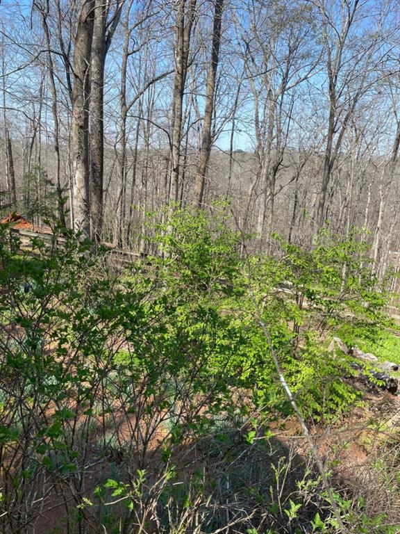988 Rocktree Road Dahlonega, GA 30533 - Photo 45 of 53