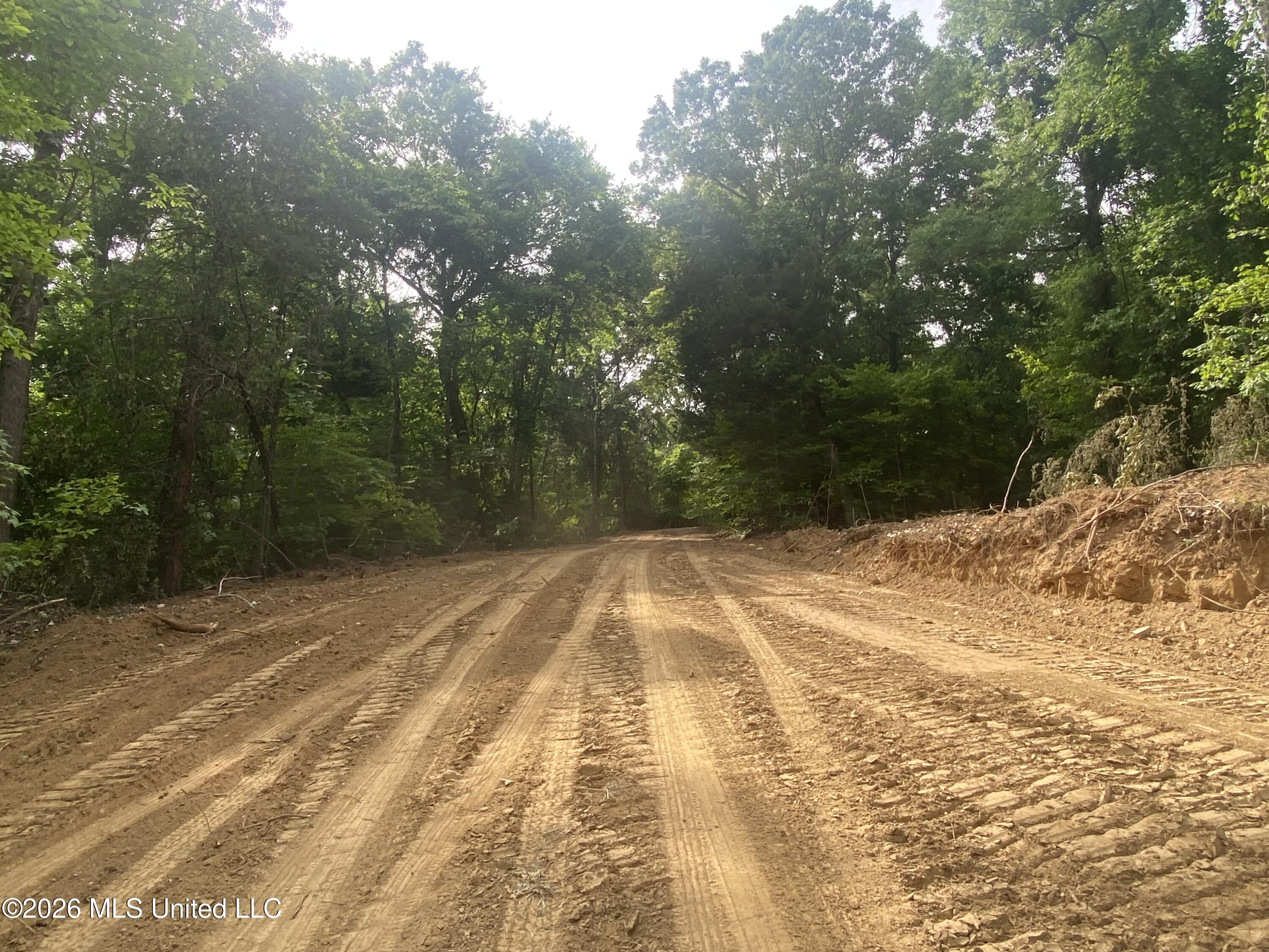 5317 Highway 3 Sarah, MS 38665 - Photo 24 of 28 IMG_7912