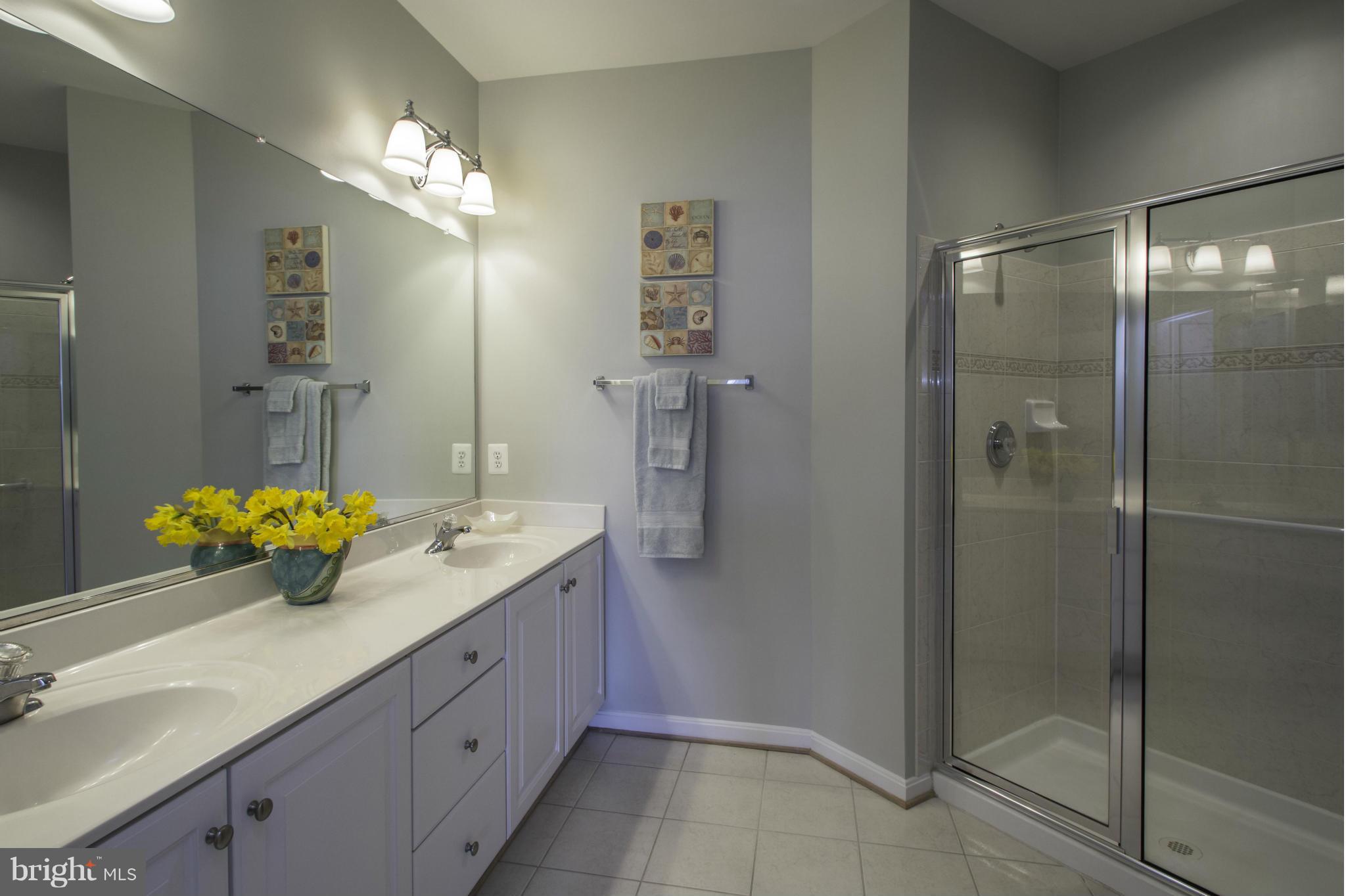 8601 Roaming Ridge Way, Unit 403 Odenton, MD 21113 - Photo 17 of 30 Bath (Master)