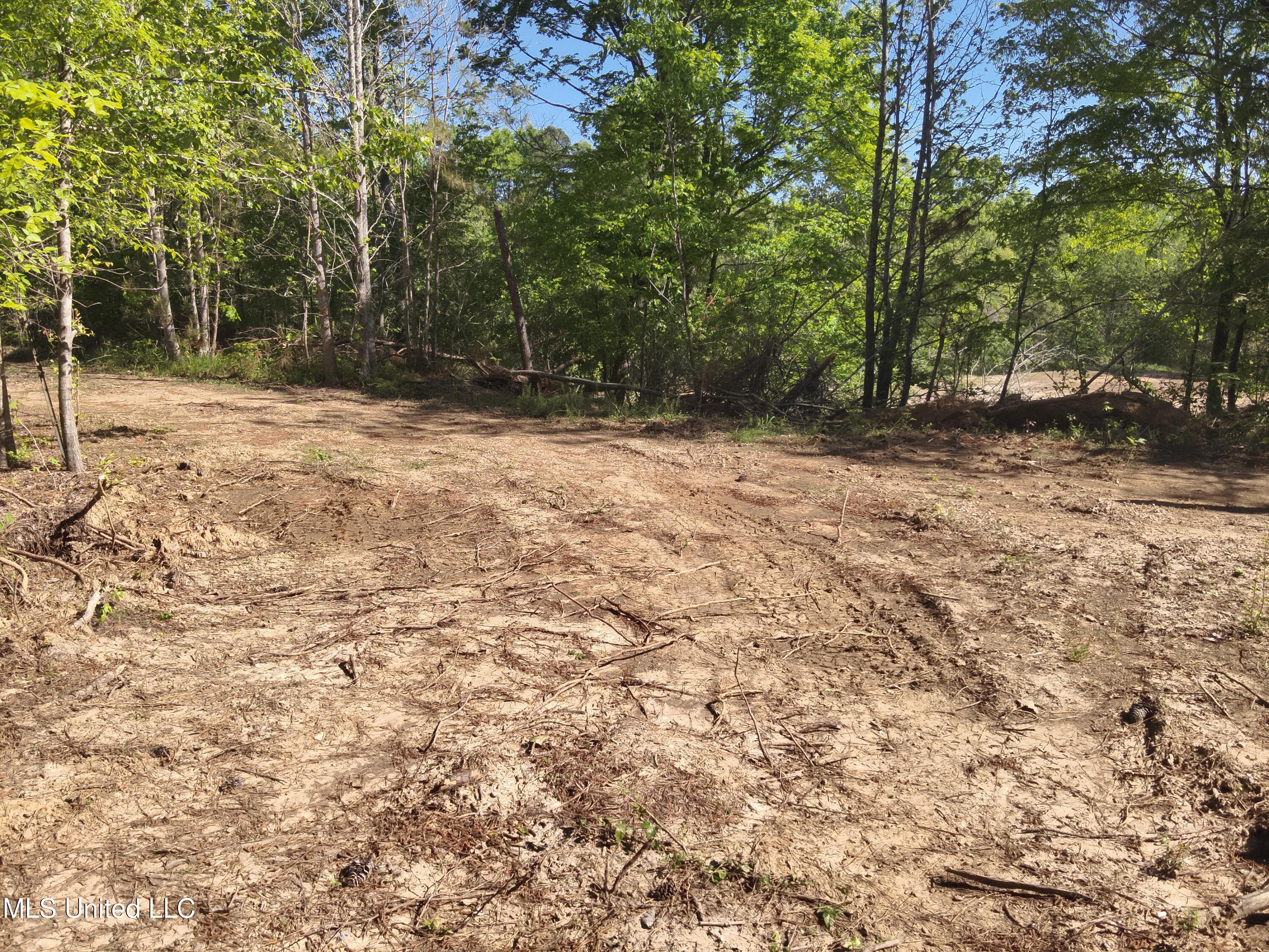 Anding Oil City Road Bentonia, MS 39040 - Photo 12 of 35 DJI_20250411100828_0019_V