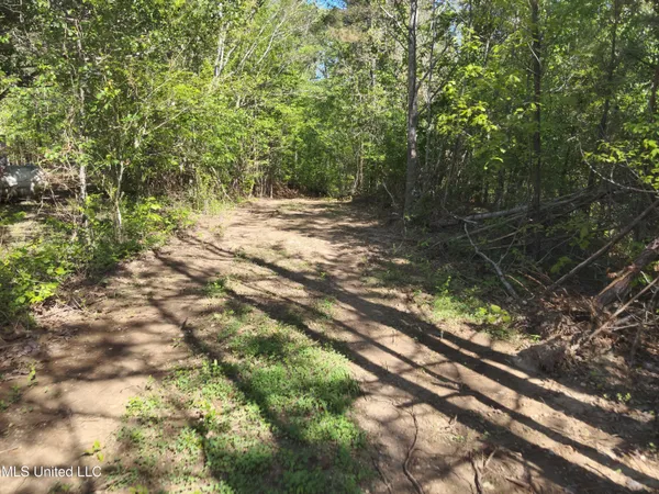 $230,100 | Anding Oil City Road, Bentonia, MS 39040