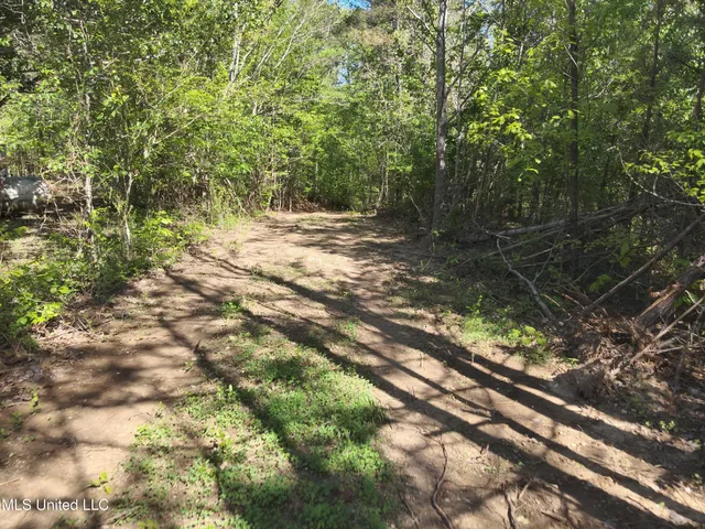 $230,100 | Anding Oil City Road, Bentonia, MS 39040