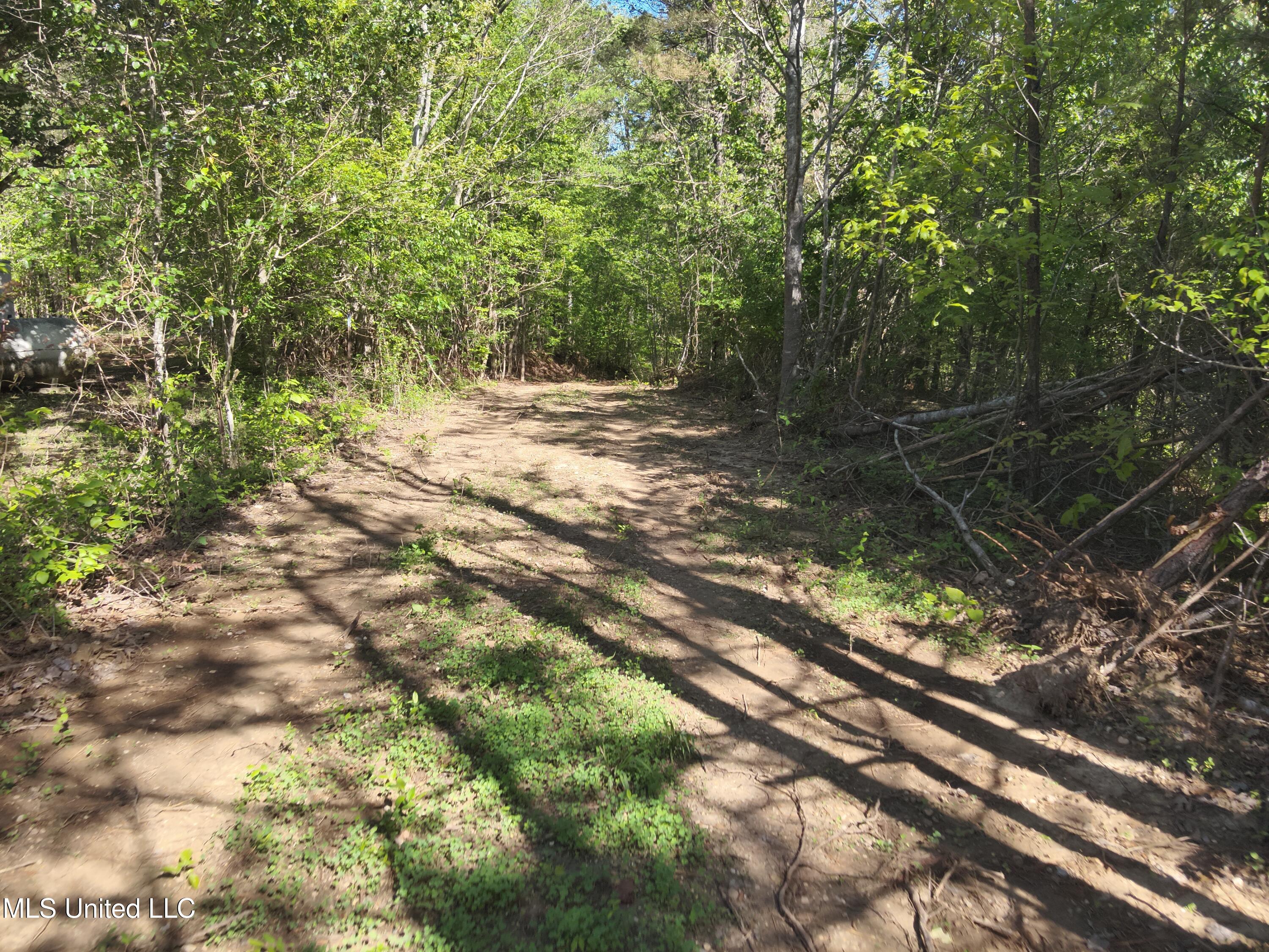 Anding Oil City Road Bentonia, MS 39040 - Photo 13 of 35 DJI_20250411100846_0020_V