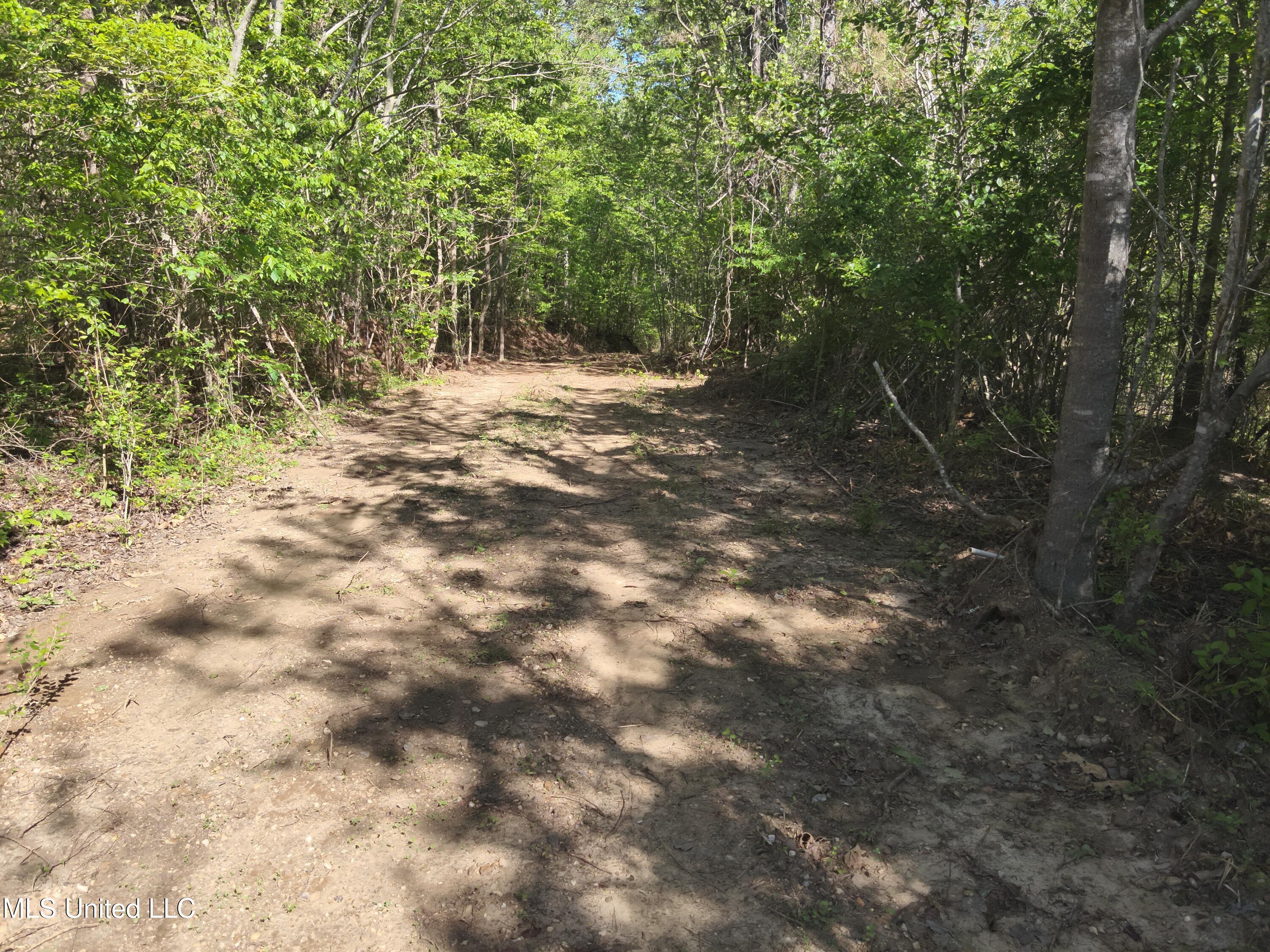 Anding Oil City Road Bentonia, MS 39040 - Photo 14 of 35 DJI_20250411100853_0021_V