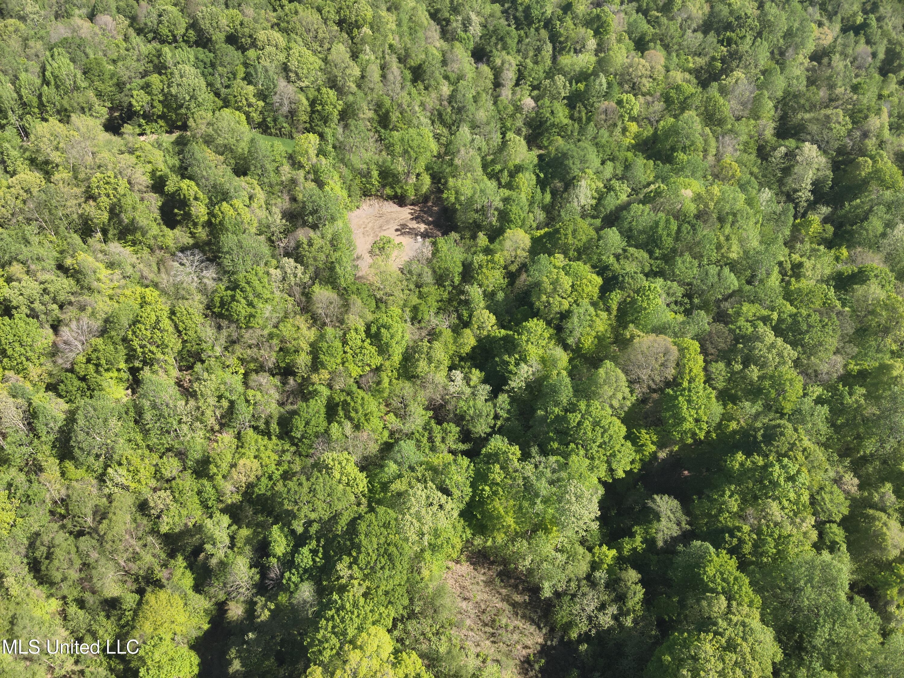 Anding Oil City Road Bentonia, MS 39040 - Photo 15 of 35 DJI_20250411101326_0026_V
