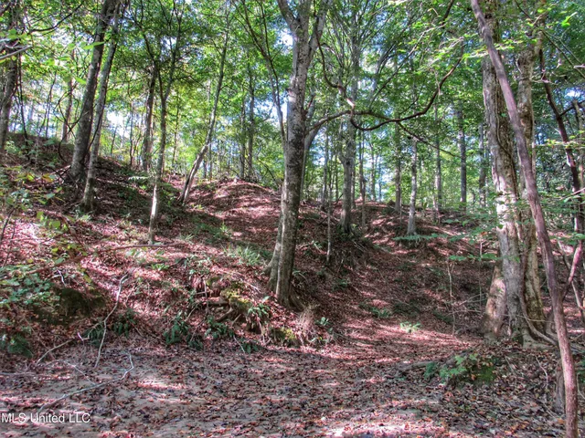 $230,100 | Anding Oil City Road, Bentonia, MS 39040