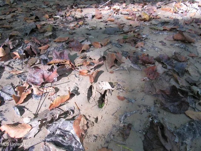 $230,100 | Anding Oil City Road, Bentonia, MS 39040