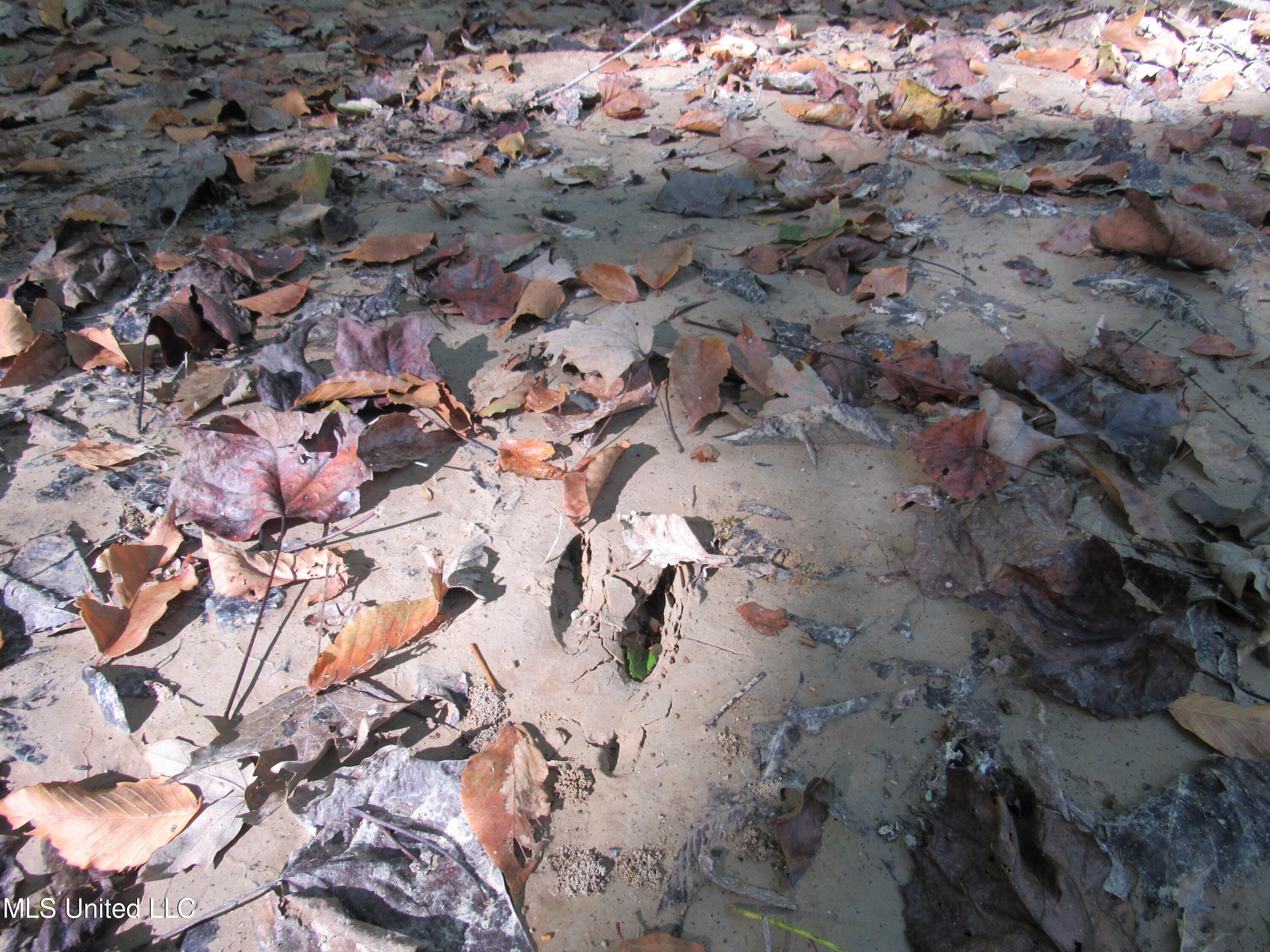 Anding Oil City Road Bentonia, MS 39040 - Photo 20 of 35 img_0682