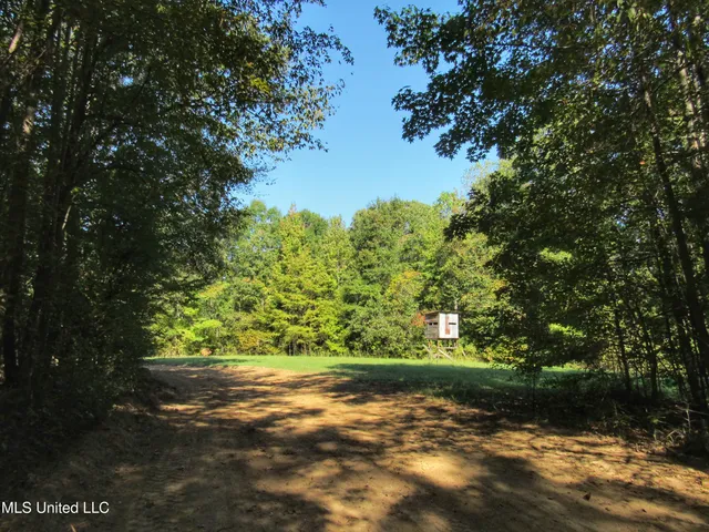 $230,100 | Anding Oil City Road, Bentonia, MS 39040