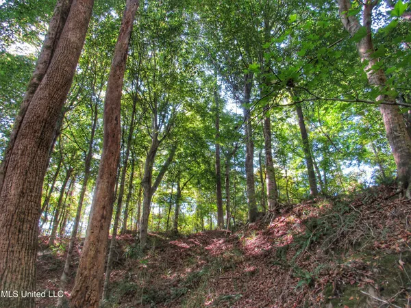 $230,100 | Anding Oil City Road, Bentonia, MS 39040