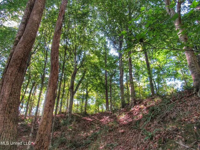 $230,100 | Anding Oil City Road, Bentonia, MS 39040