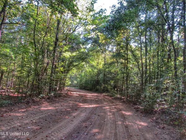 $230,100 | Anding Oil City Road, Bentonia, MS 39040