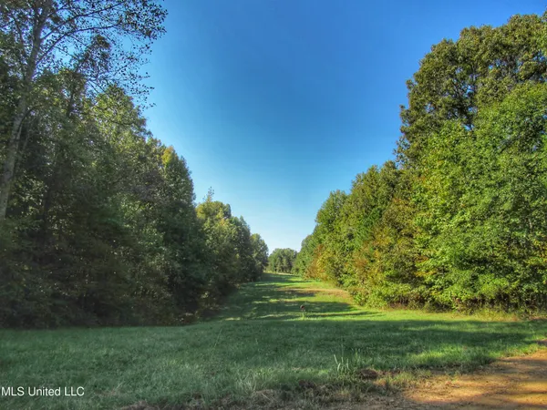 $230,100 | Anding Oil City Road, Bentonia, MS 39040