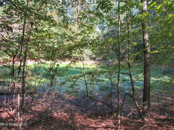 $230,100 | Anding Oil City Road, Bentonia, MS 39040