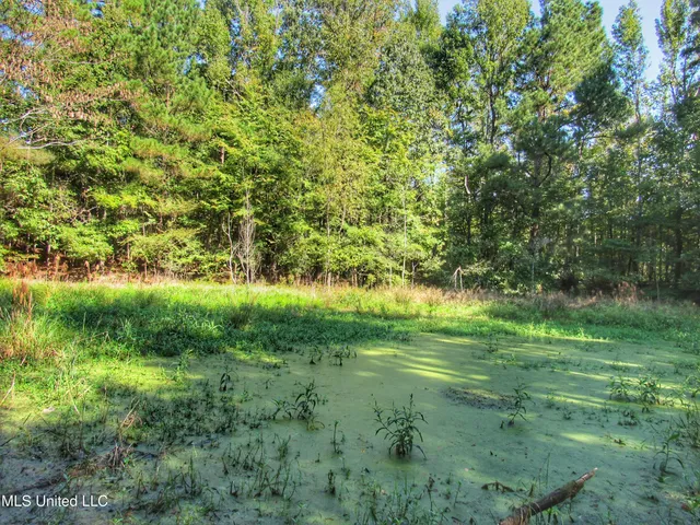 $230,100 | Anding Oil City Road, Bentonia, MS 39040