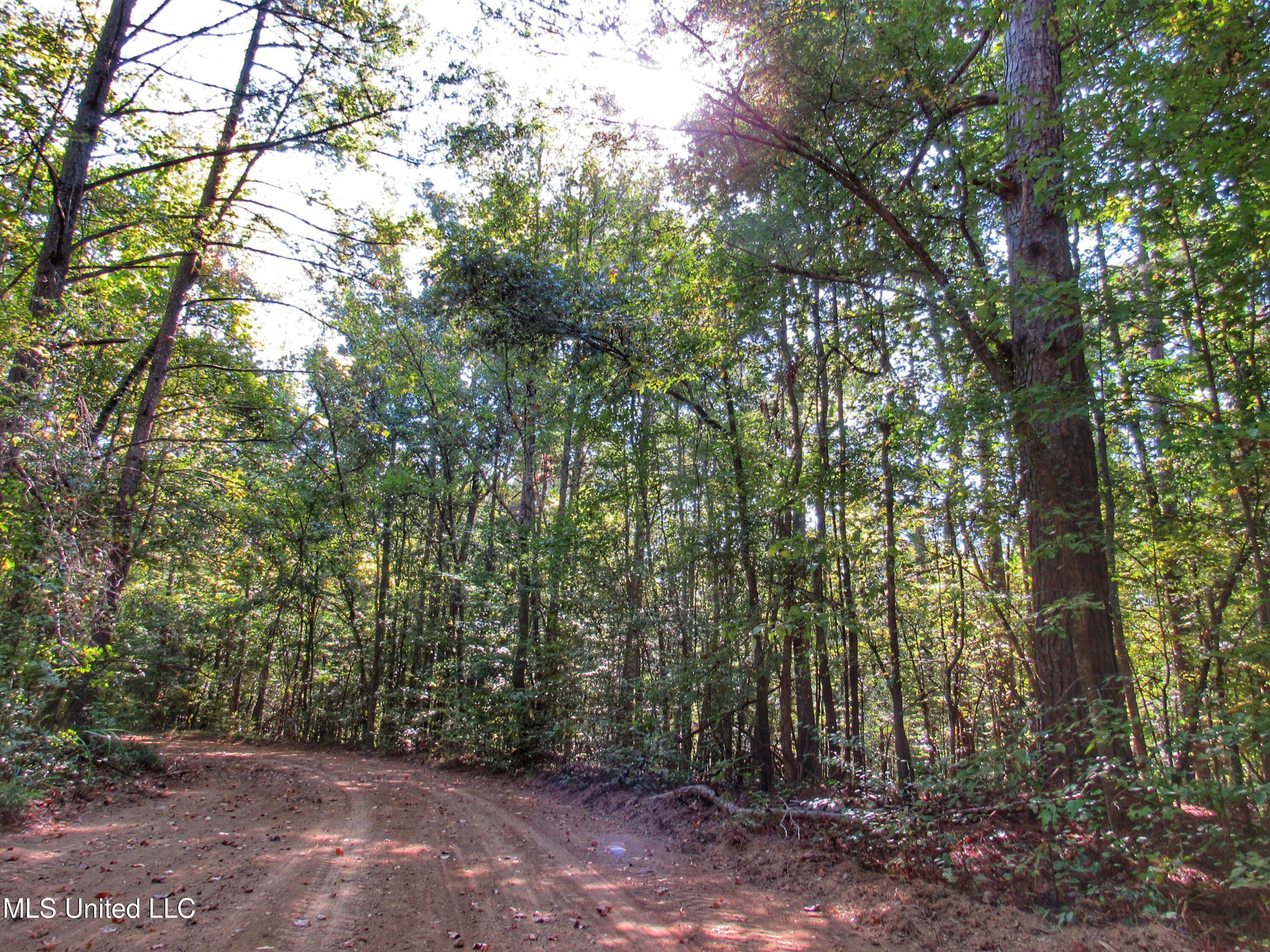 Anding Oil City Road Bentonia, MS 39040 - Photo 27 of 35 img_0707 2
