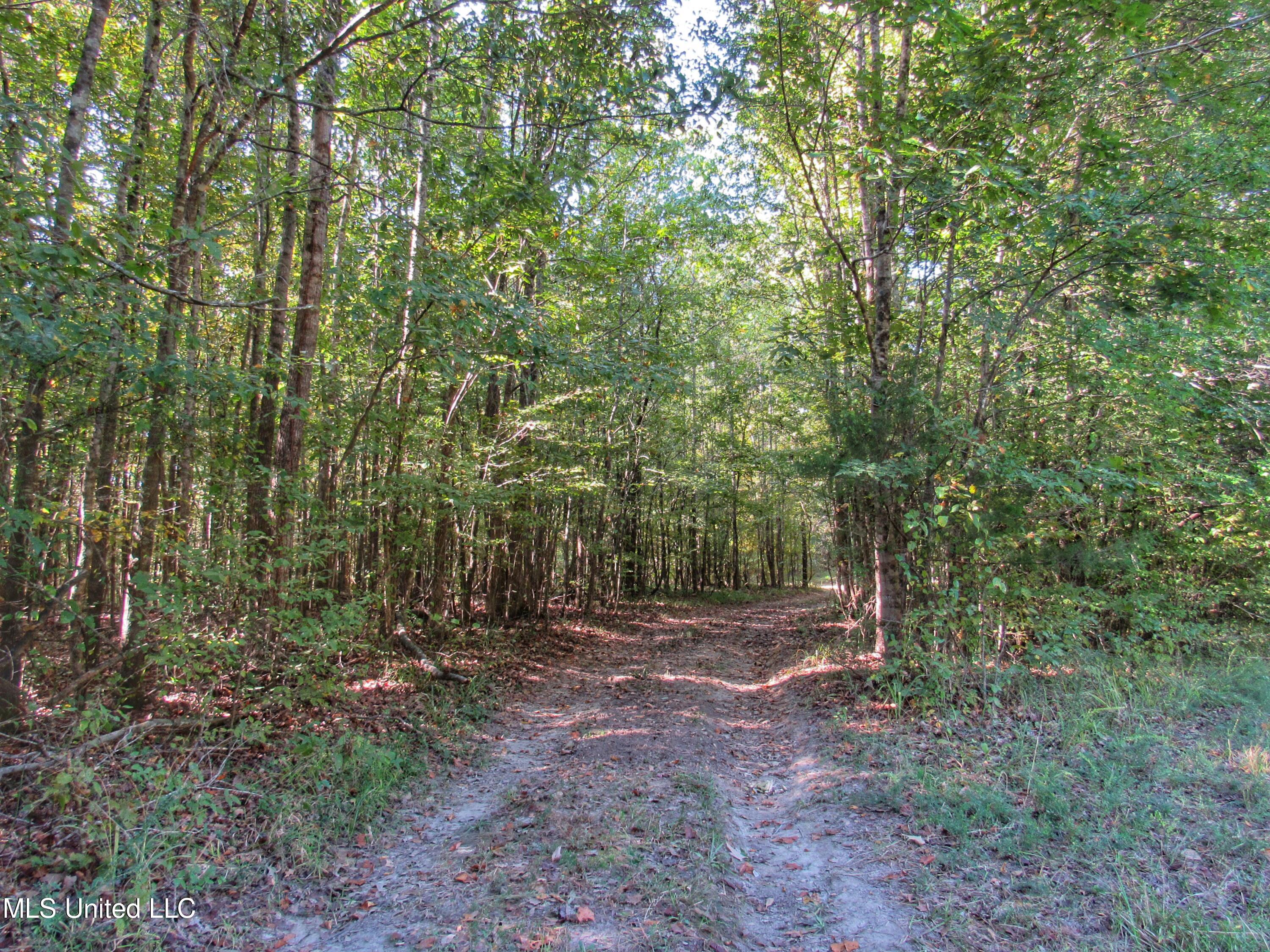 Anding Oil City Road Bentonia, MS 39040 - Photo 28 of 35 img_0710 2