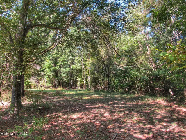 $230,100 | Anding Oil City Road, Bentonia, MS 39040