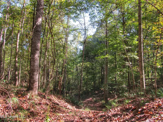 $230,100 | Anding Oil City Road, Bentonia, MS 39040