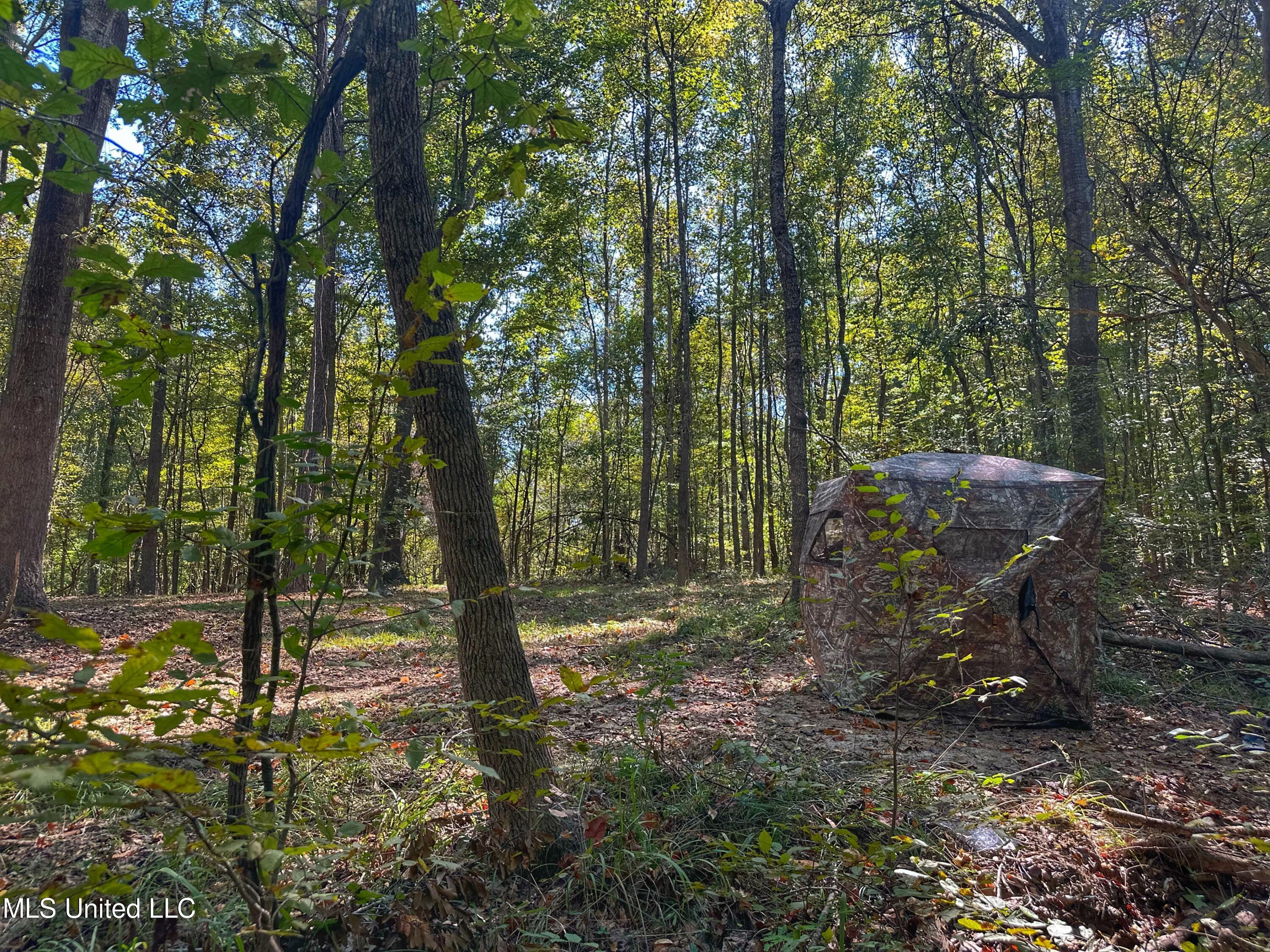Anding Oil City Road Bentonia, MS 39040 - Photo 32 of 35 IMG_6108