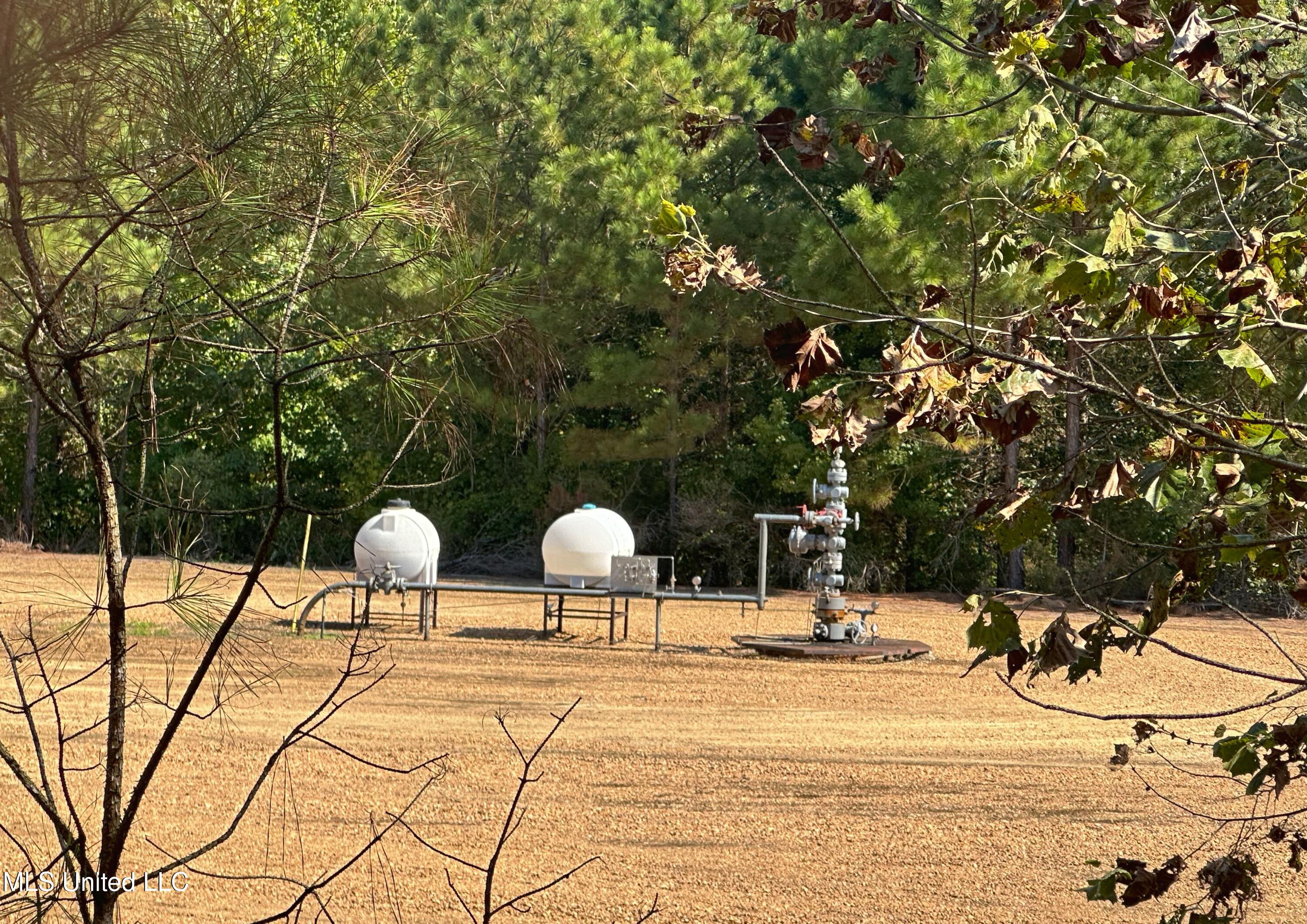 Anding Oil City Road Bentonia, MS 39040 - Photo 33 of 35 IMG_6111