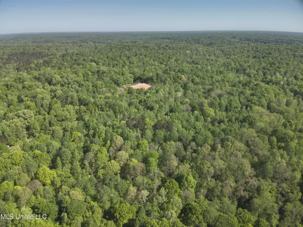 $230,100 | Anding Oil City Road, Bentonia, MS 39040