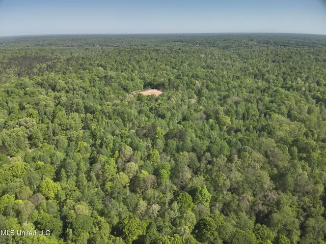 $230,100 | Anding Oil City Road, Bentonia, MS 39040
