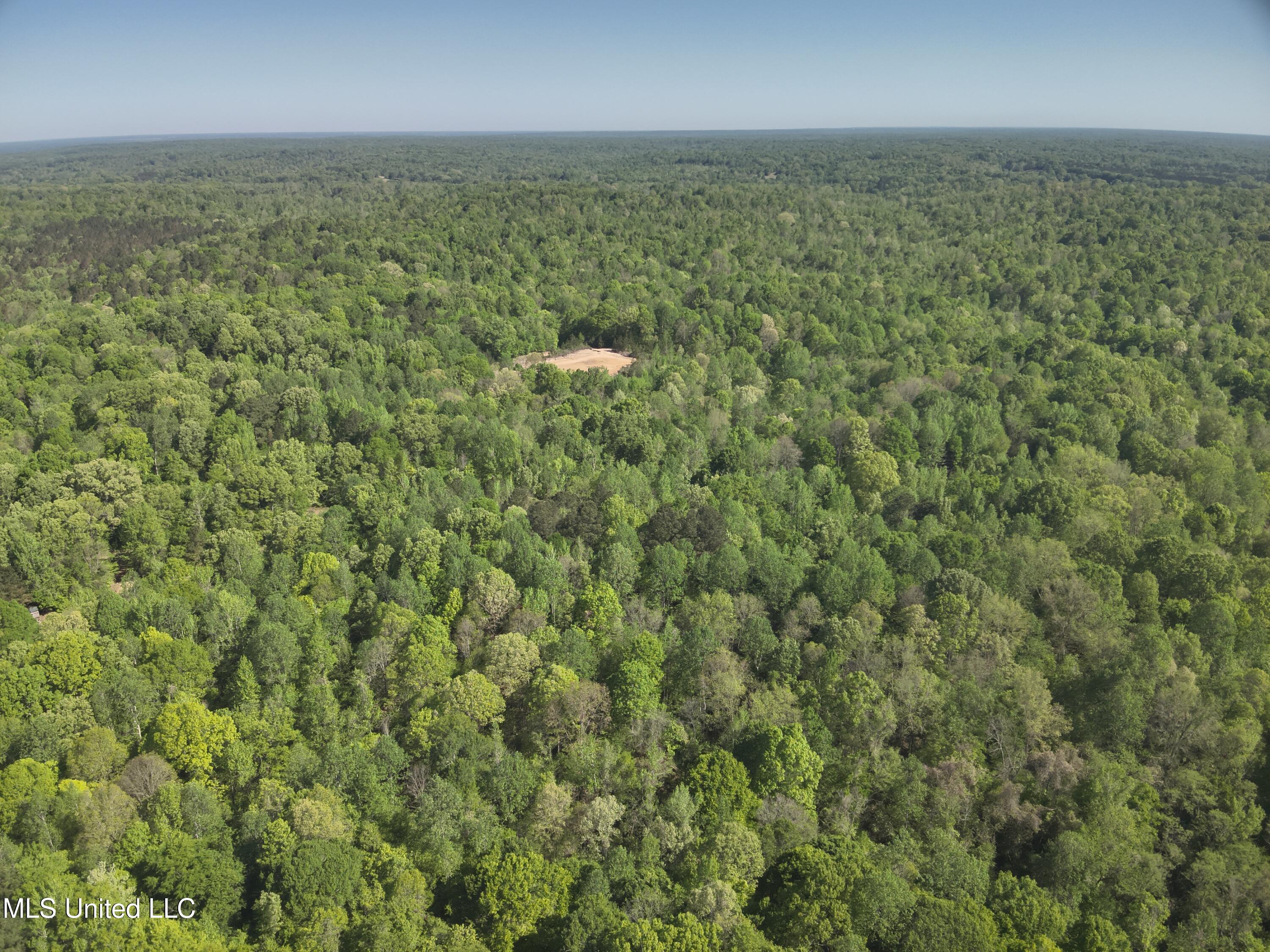 Anding Oil City Road Bentonia, MS 39040 - Photo 4 of 35 DJI_20250411100216_0003_V